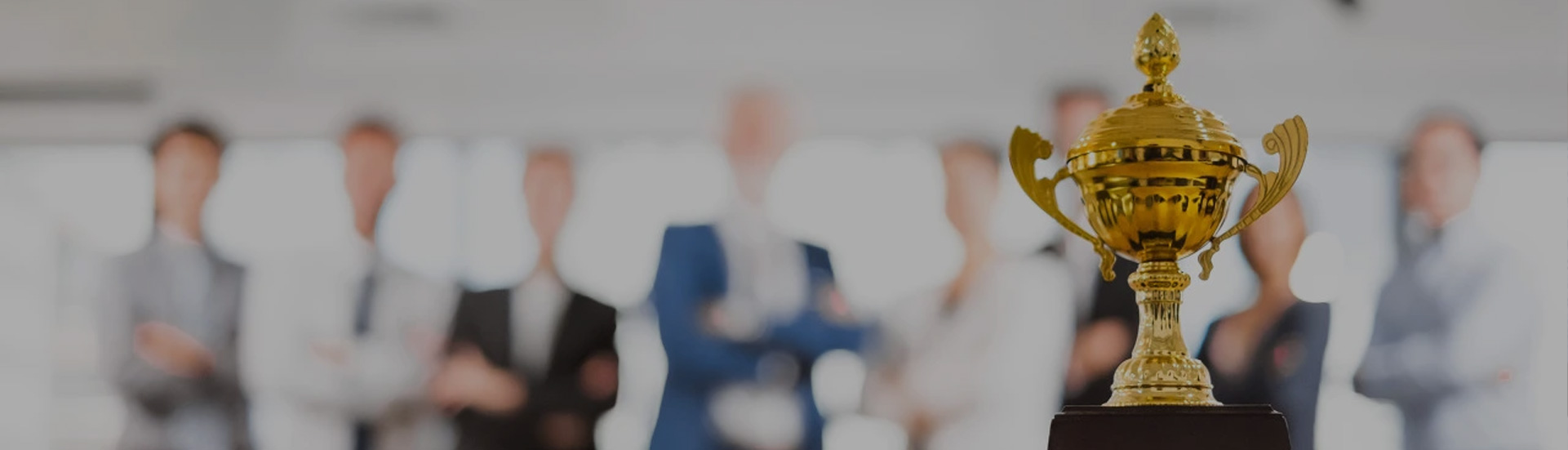 榮譽(yù)資質(zhì)